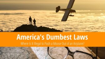 America’s Dumbest Laws – No Moose Dropping From Planes