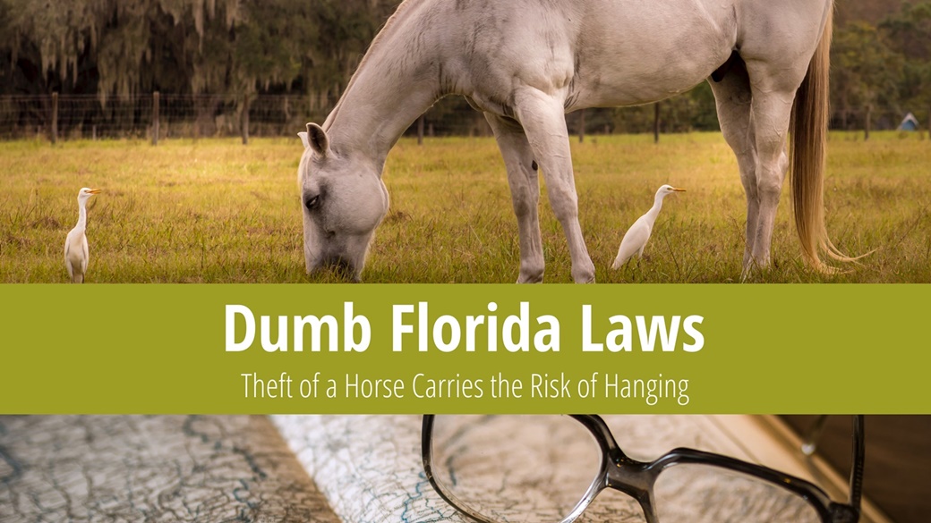 Dumb Florida Laws – Stealing a Horse May Result in Hanging