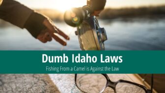 Dumb Idaho Laws – No Fishing From a Camel Allowed!