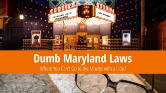 Dumb Maryland Laws: You Can’t Take a Lion to the Cinema!