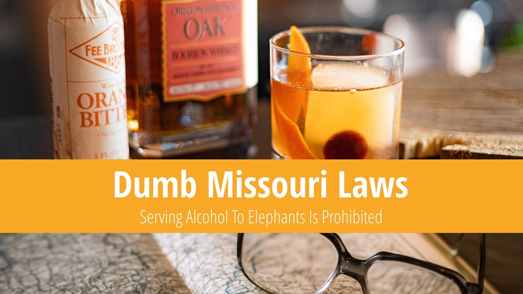 Dumb Missouri Laws – Serving Alcohol To Elephants Is Illegal