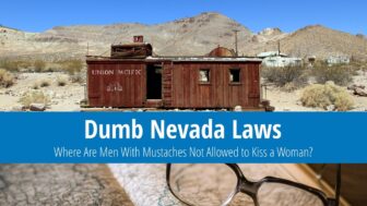 Dumb Nevada Laws: Camels Can’t Use Highways