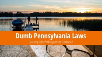 Dumb Pennsylvania Laws – Can’t Hide Dust Under Carpets