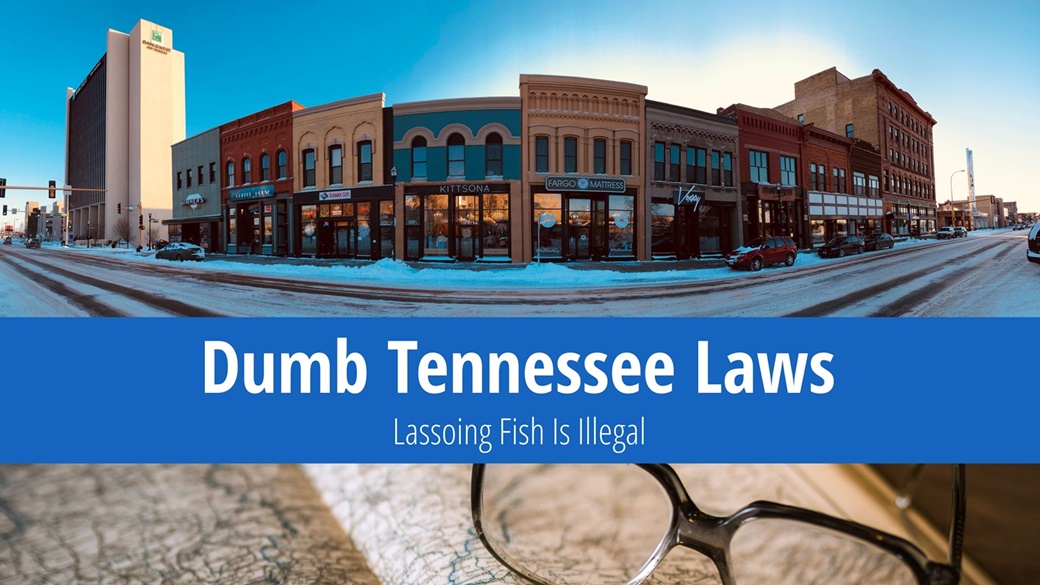 Dumb Tennessee Laws: No Frog Croaking After 11 PM!