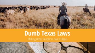 Dumb Texas Laws: Milking Another Person’s Cow Is Illegal
