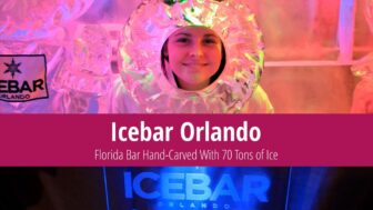 Experience Icebar Orlando – A Bar Carved from 70 Tons of Ice