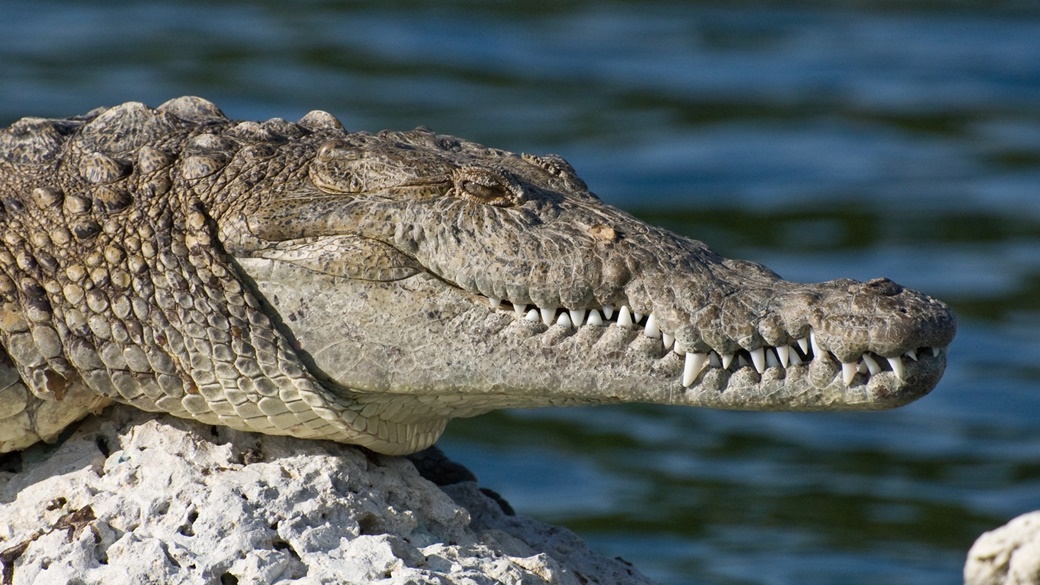 Biscayne National Park | © National Park Service