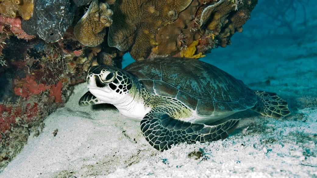 Biscayne National Park | © National Park Service