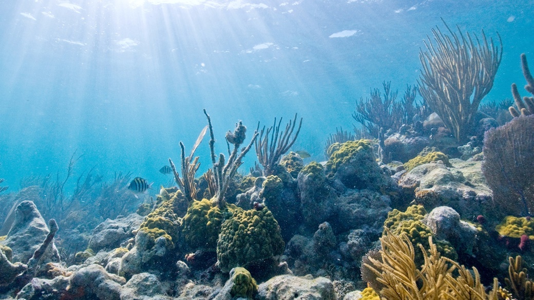 Biscayne National Park | © National Park Service