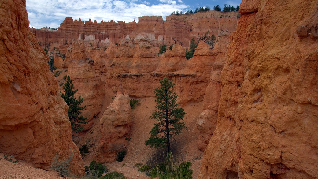 Bryce Canyon National Park | © Maureen