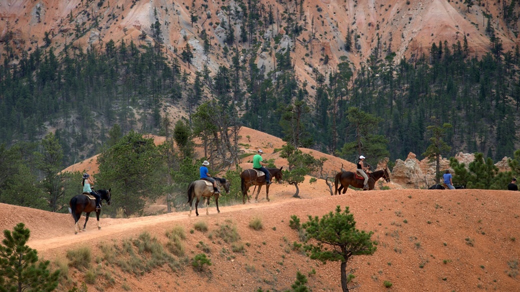 Bryce Canyon National Park | © Maureen