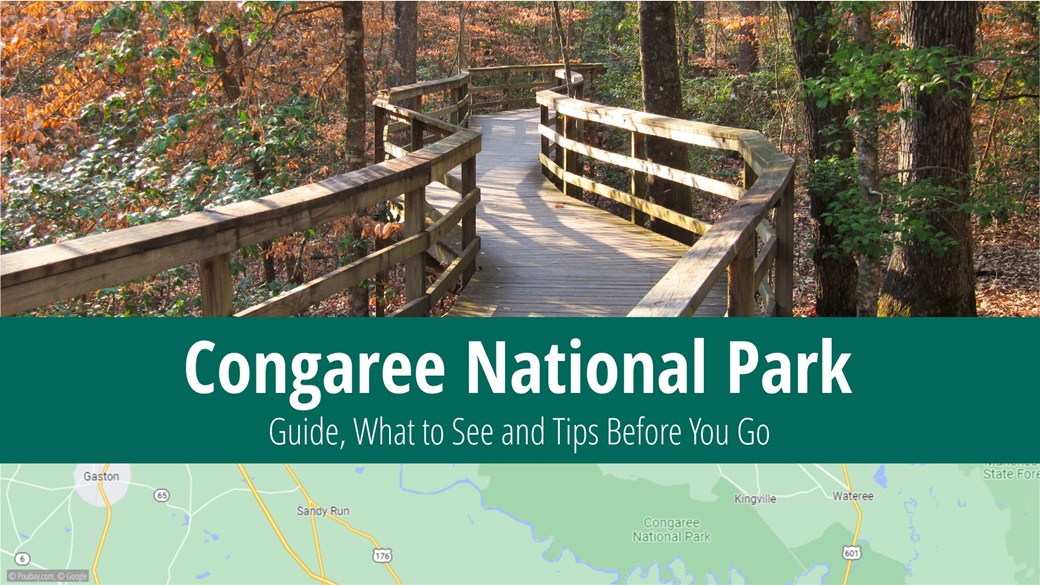 Congaree National Park | © Miguel Vieira