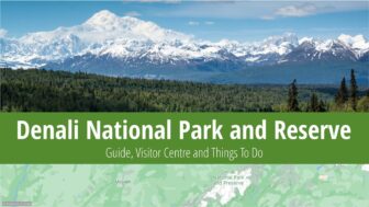 Denali National Park – Camping, Things to Do and Secret Tips