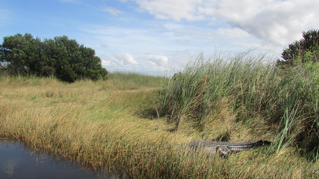 Everglades National Park | © Pixabay.com