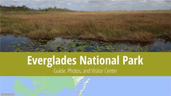 Everglades National Park – Trails, Best Tours, and Insider Tips