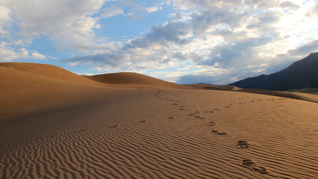 Great Sand Dunes National Park | © daveynin