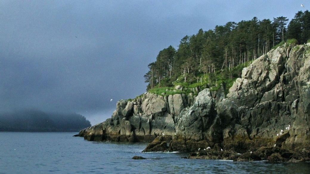 Kenai Fjords National Park | © Dave Bezaire & Susi Havens-Bezaire