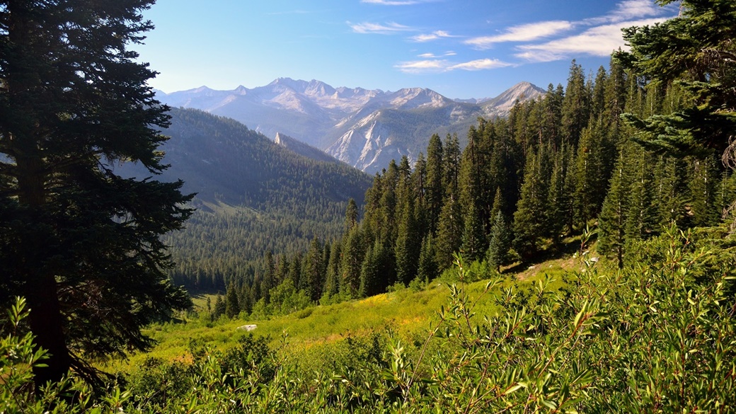 Crescent Creek Trail, Kings Canyon National Park | © Tom Hilton