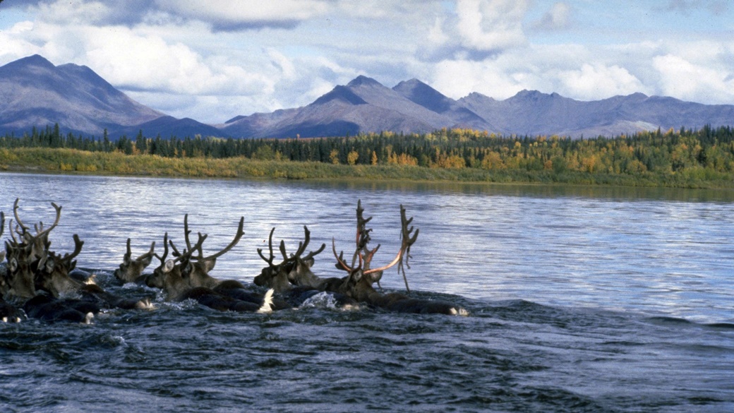 Kobuk Valley National Park | © Education Specialist