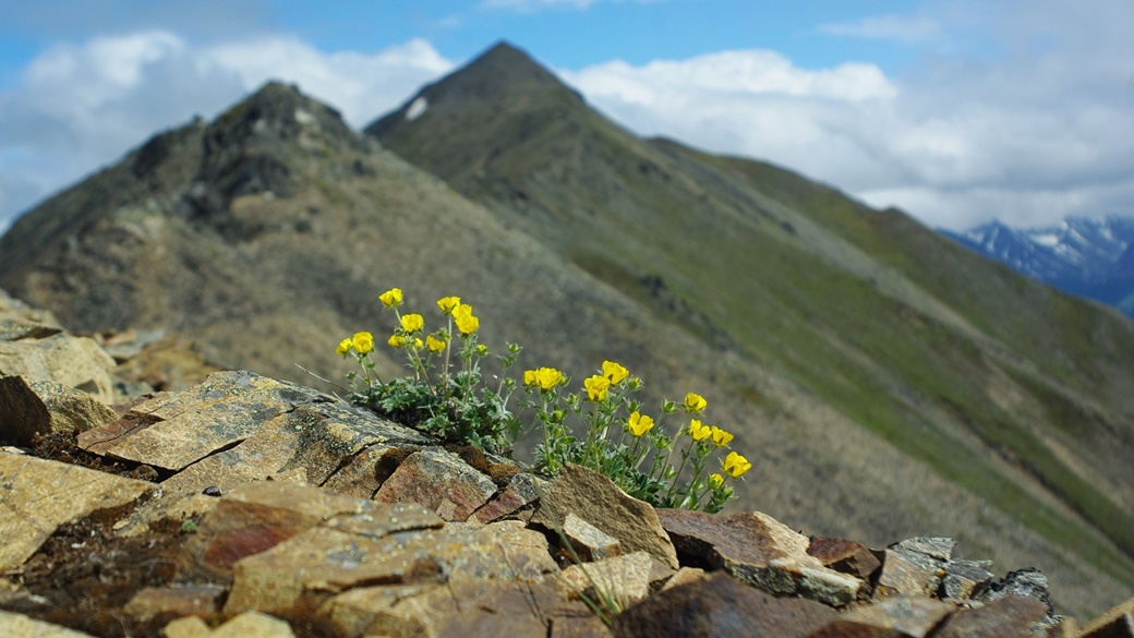 Tanalian Mountain, Lake Clark National Park | © Lake Clark National Park & Preserve