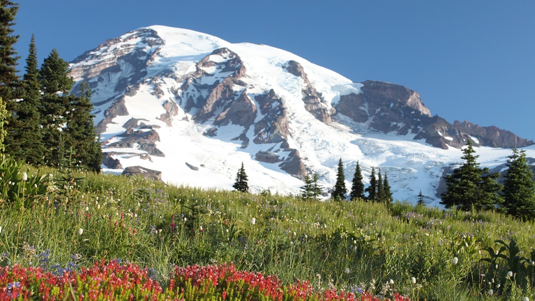 Mount Rainier National Park | © Jeff