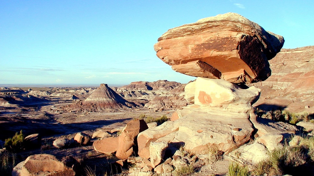 Petrified Forest National Park | © Park Ranger