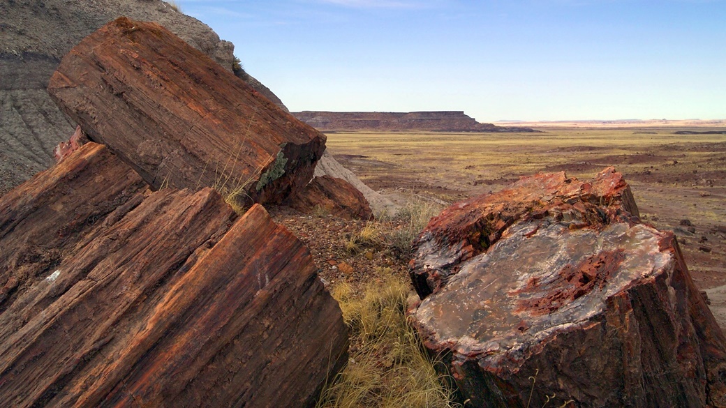 Petrified Forest NP | © Park Ranger