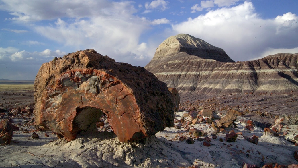 National Park Petrified Forest | © Park Ranger