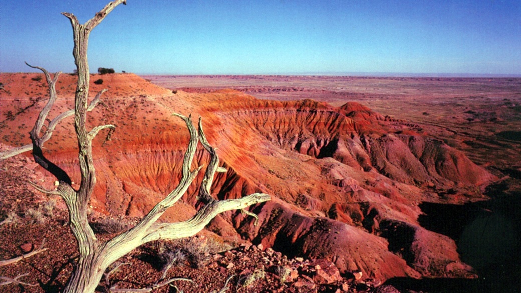 Chinle Formation, Petrified Forest National Park | © Petrified Forest