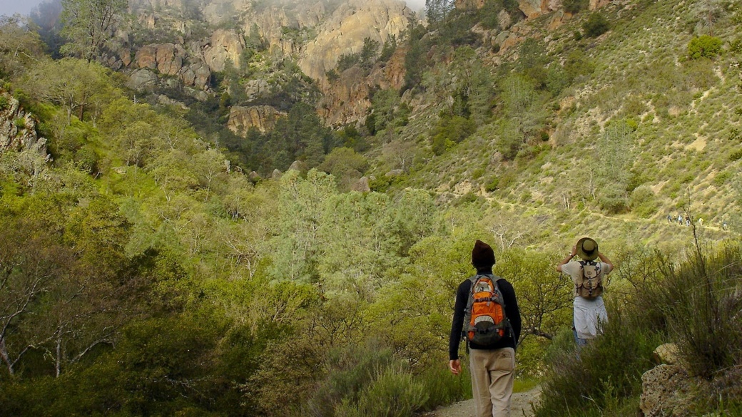 Condor Gulch Trail, Pinnacles National Park | © Miguel Vieira