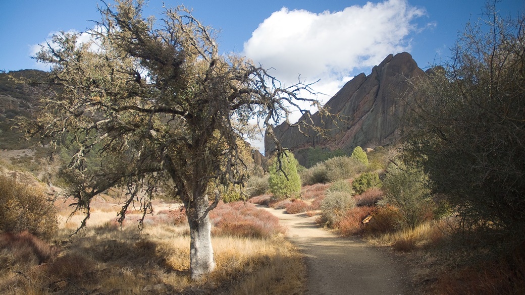 Pinnacles National Park | © oliver.dodd