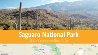 Saguaro National Park – Trails, Camping & Best Tips for You