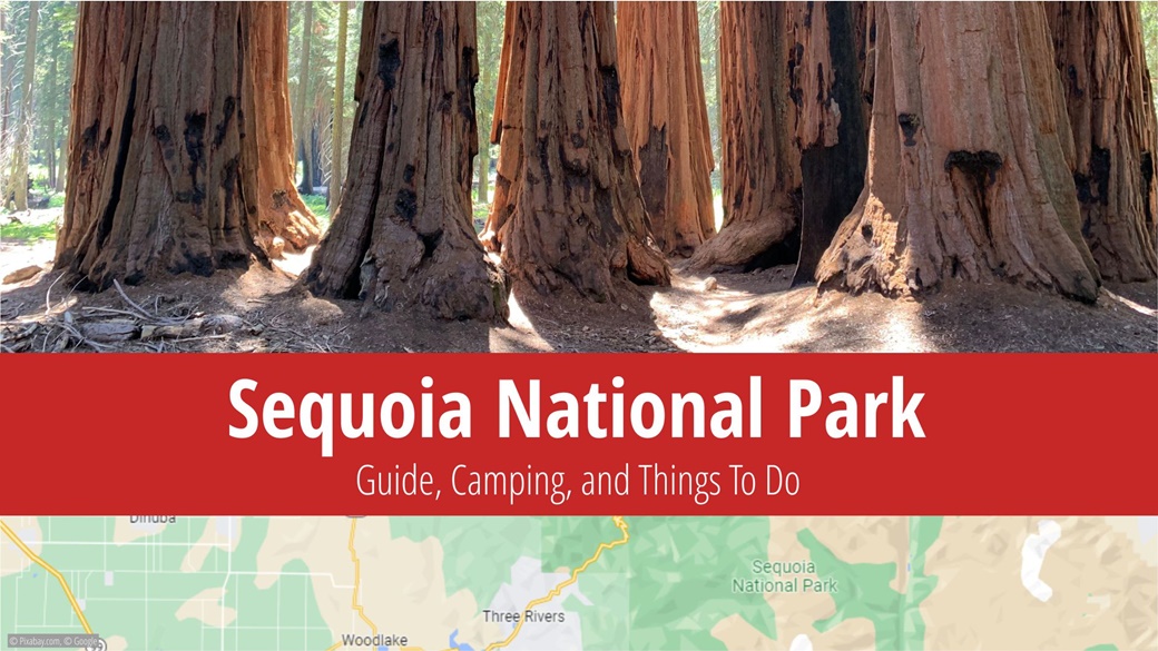 Sequoia National Park | © Pixabay