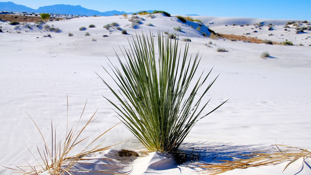 White Sands National Park | © Pixabay.com