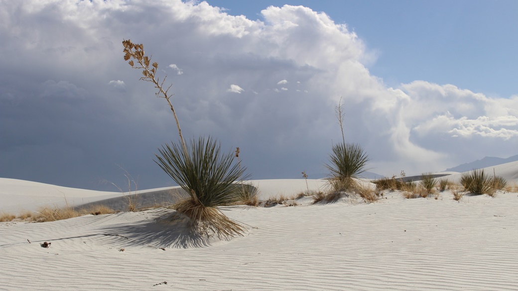 White Sands National Park | © Pixabay.com