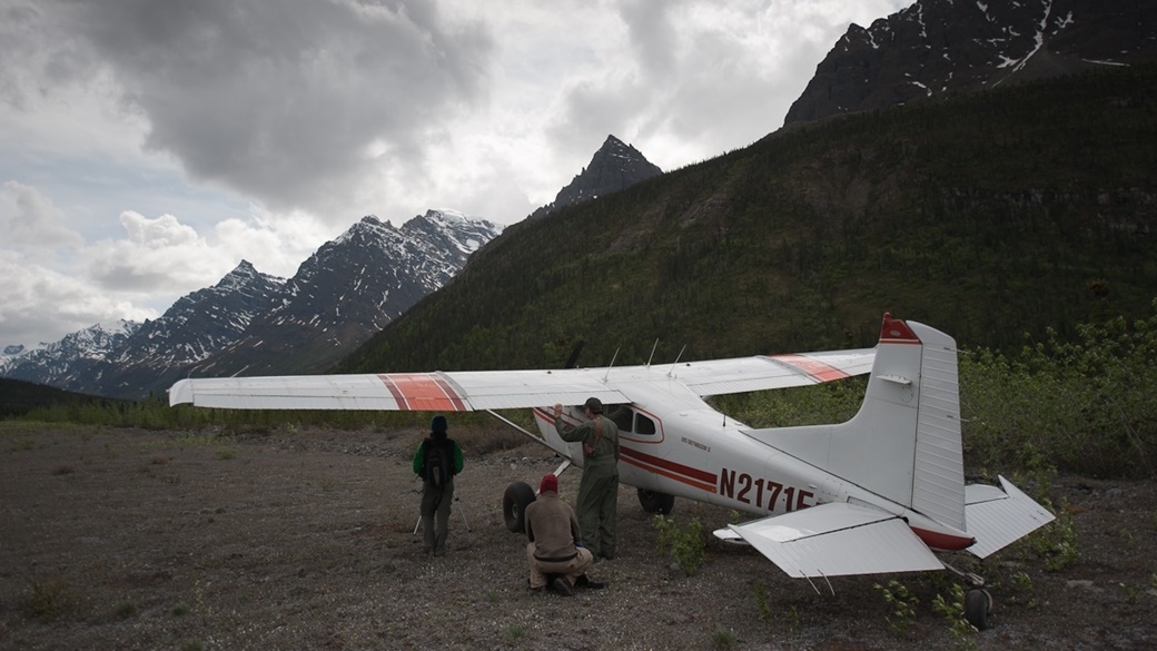 Glacier Creek Strip, Wrangell - St. Elias National Park | © Wrangell-St. Elias National Park & Preserve