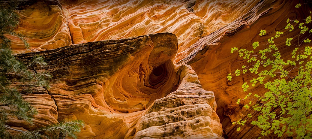 Zion National Park | © Jose Hidalgo