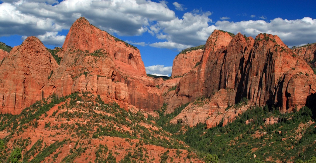 Zion National Park | Frank Kovalchek