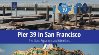 Pier 39 – Encounter Sea Lions, Visit the Aquarium and More!