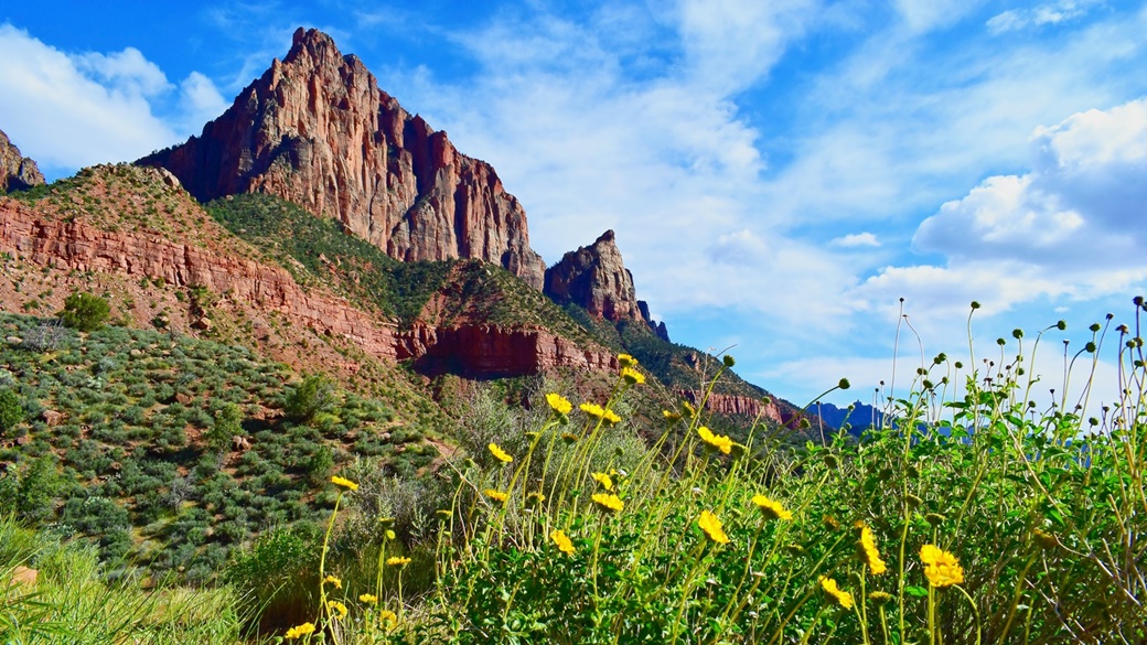 Zion National Park | © Reny Turnová